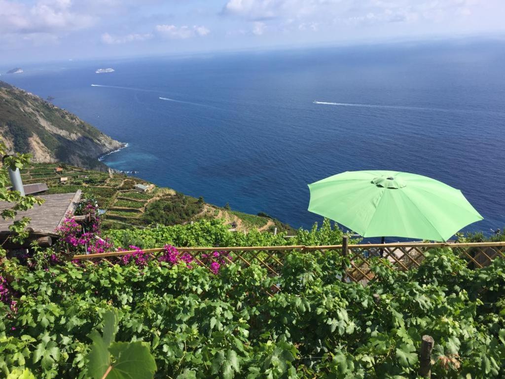 Refuge Uwabio Organic Vineyard Cinqueterre Villa Riomaggiore Eksteriør billede