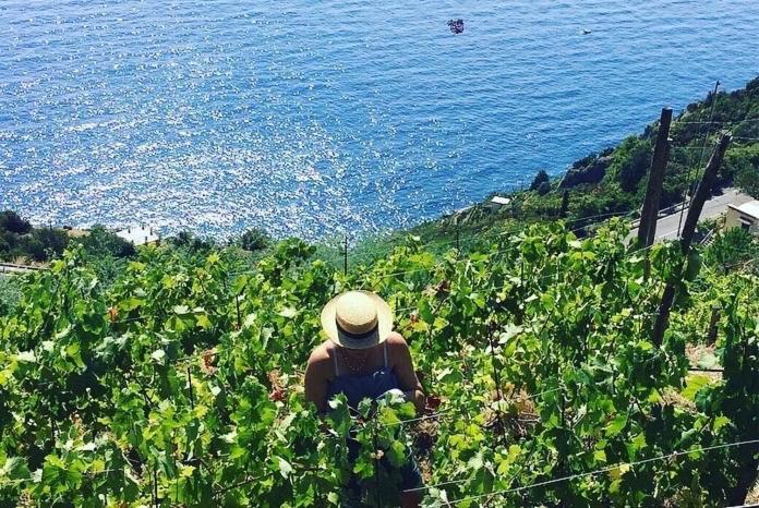 Refuge Uwabio Organic Vineyard Cinqueterre Villa Riomaggiore Eksteriør billede