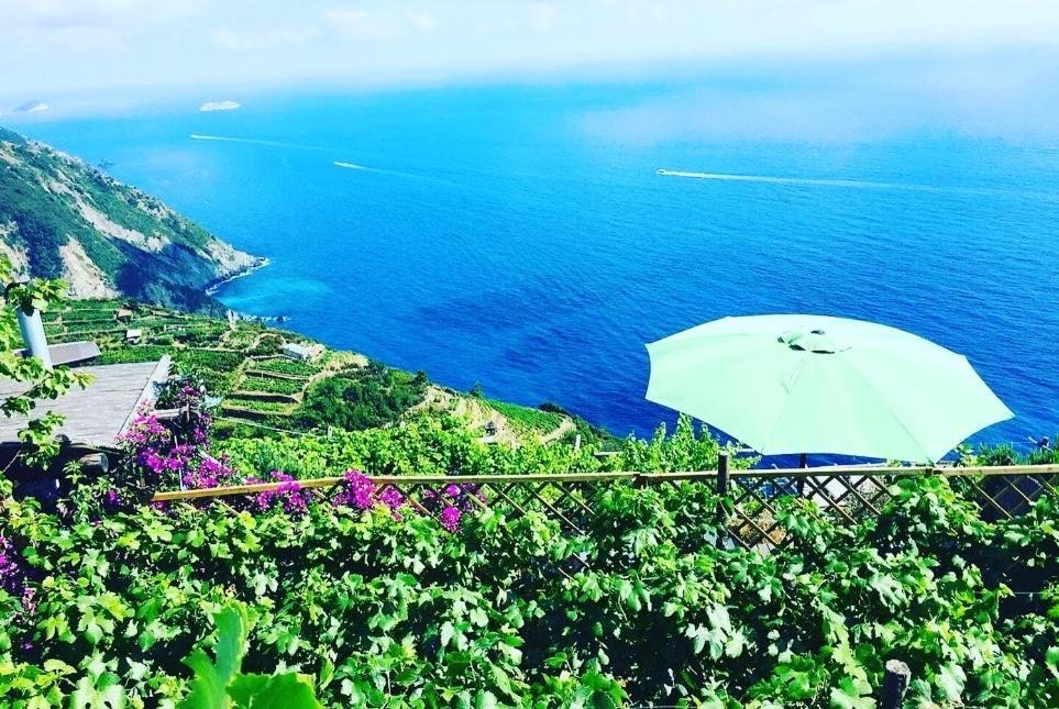 Refuge Uwabio Organic Vineyard Cinqueterre Villa Riomaggiore Eksteriør billede
