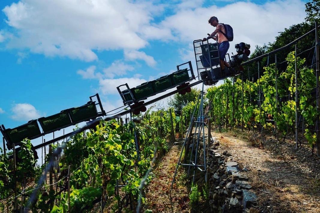 Refuge Uwabio Organic Vineyard Cinqueterre Villa Riomaggiore Eksteriør billede