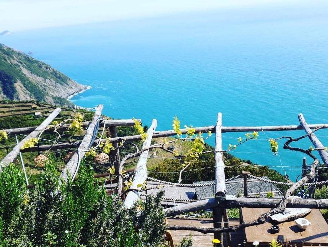 Refuge Uwabio Organic Vineyard Cinqueterre Villa Riomaggiore Eksteriør billede