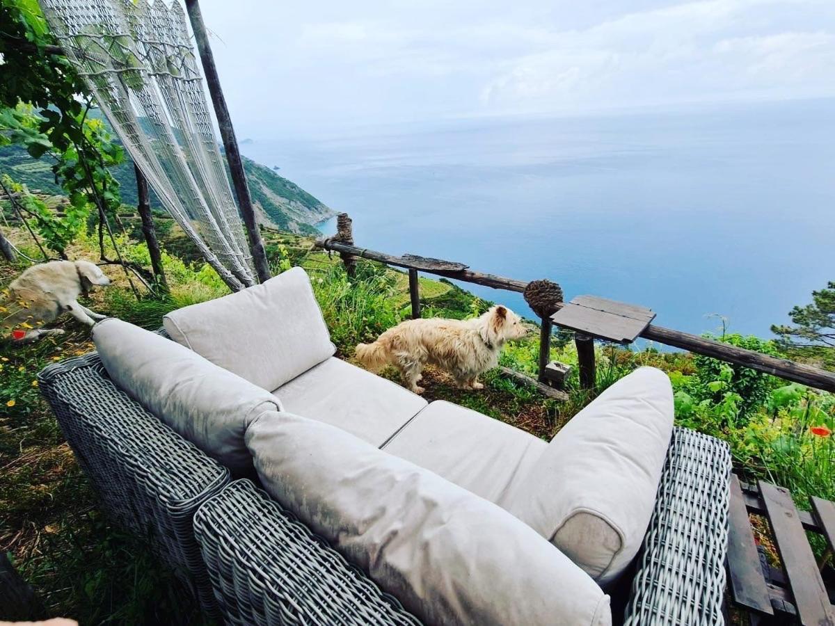 Refuge Uwabio Organic Vineyard Cinqueterre Villa Riomaggiore Eksteriør billede